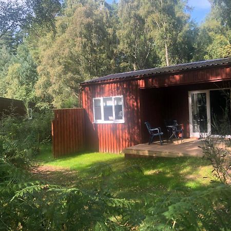 The South Cabin At Easter Arr 奈恩 外观 照片